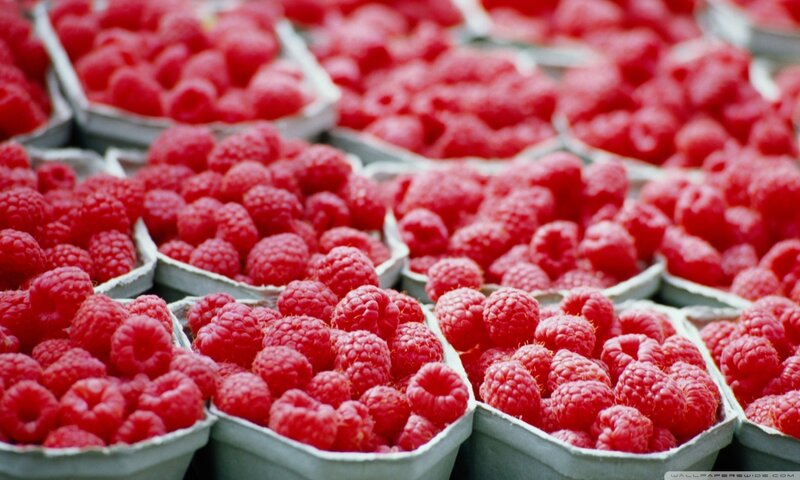 Red Raspberries in Containers