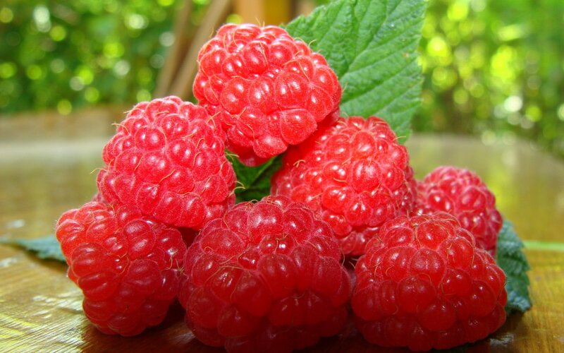 Red Raspberries on Leaf