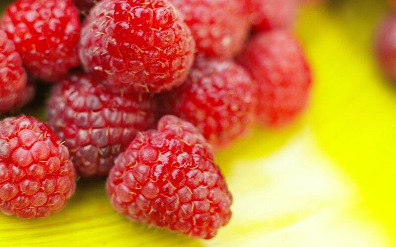 Red Raspberries on Yellow — Fresh