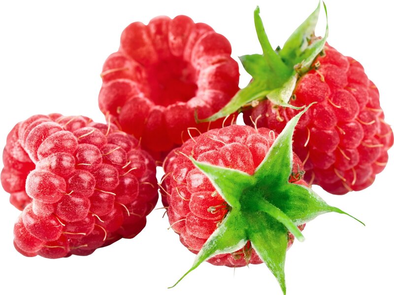 Red Raspberries with Green Leaves