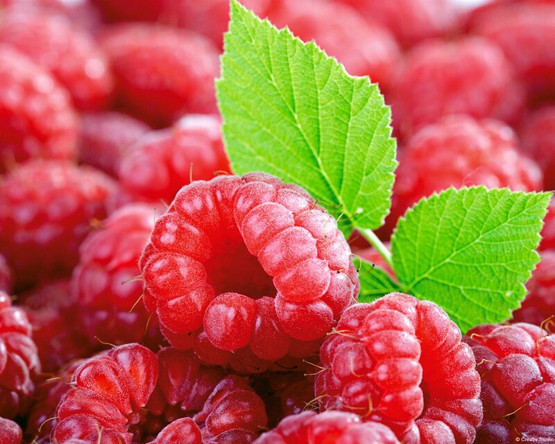 Red Raspberries with Leaves — Fresh, Photograph, Berries