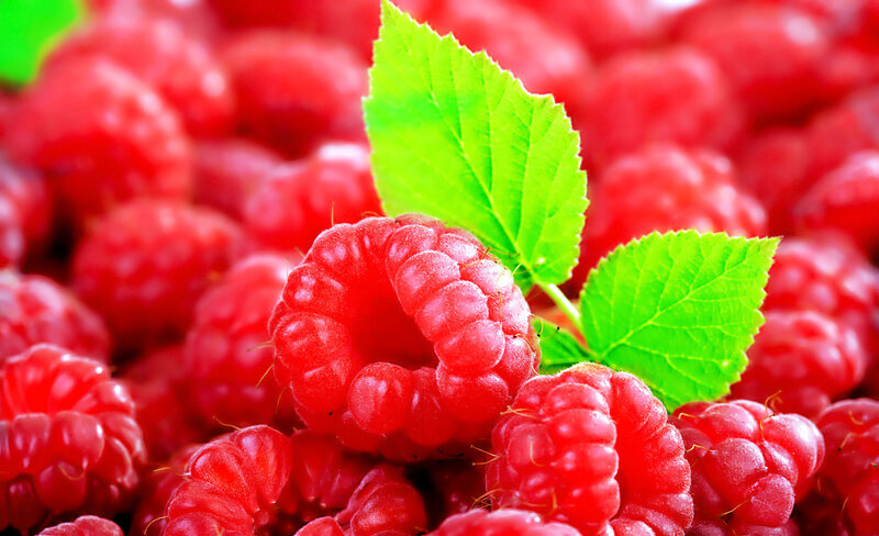 Red Raspberries with Leaves — Fresh, Photograph