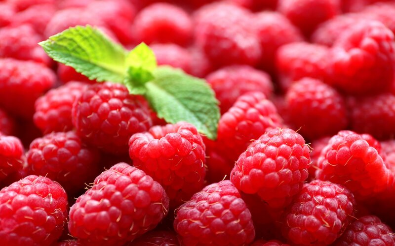 Red Raspberries with Mint