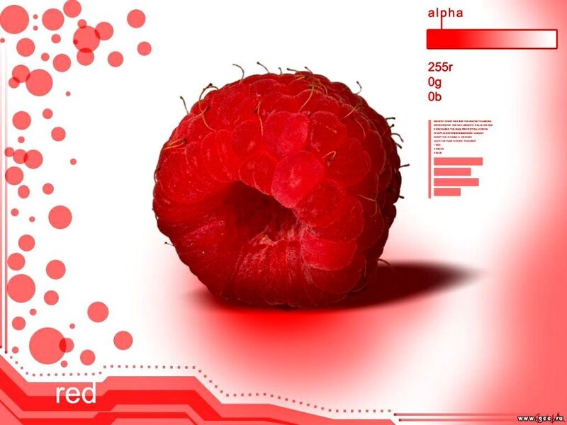 red raspberry with digital overlay