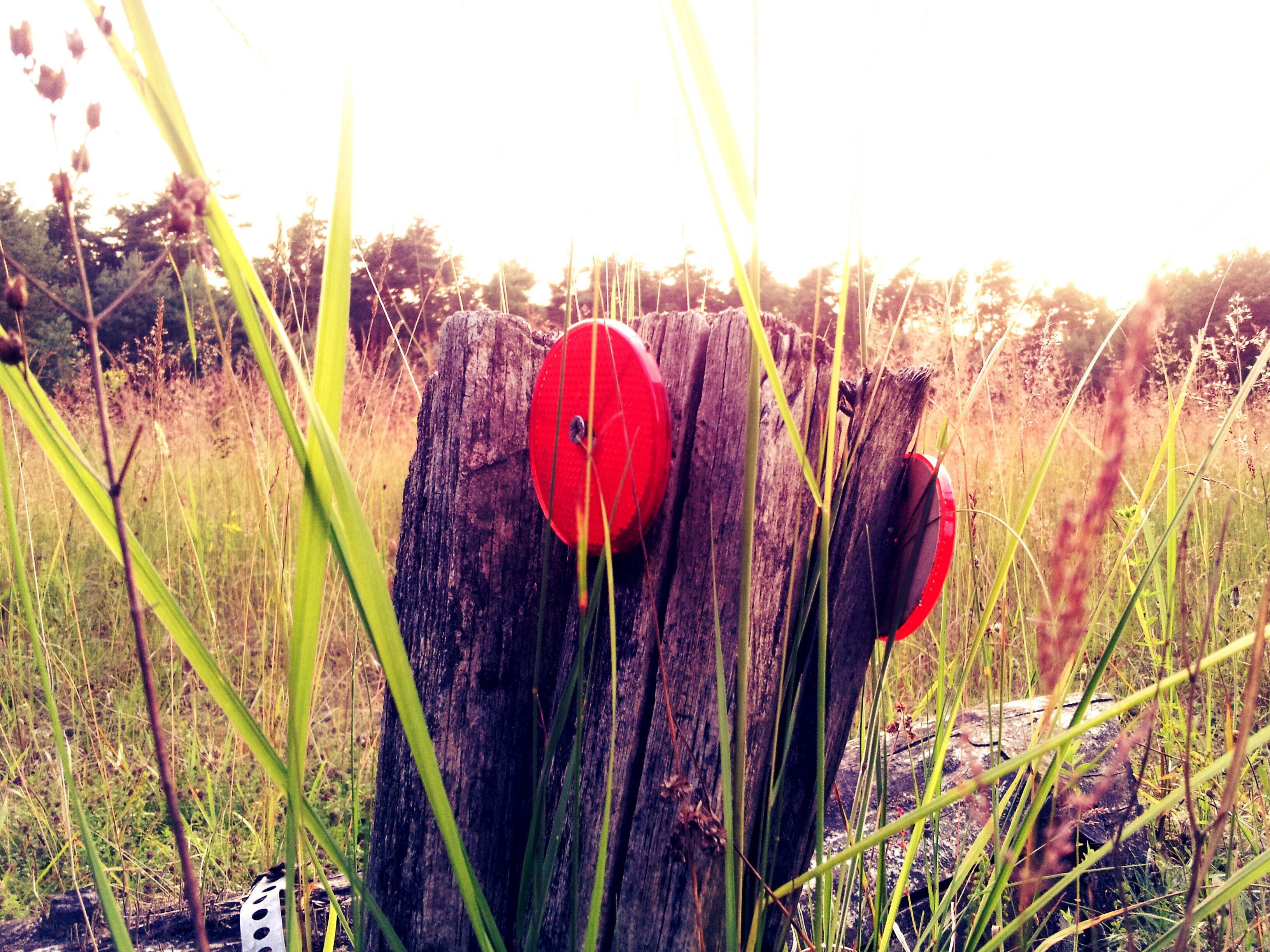 Red reflectors on a wooden post