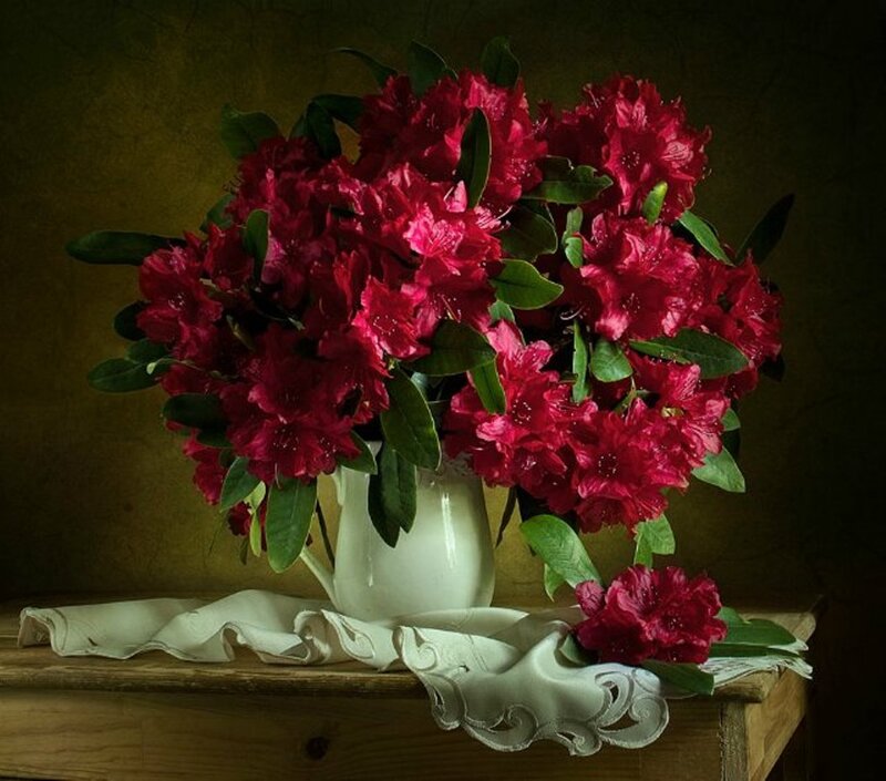 Red Rhododendron Bouquet