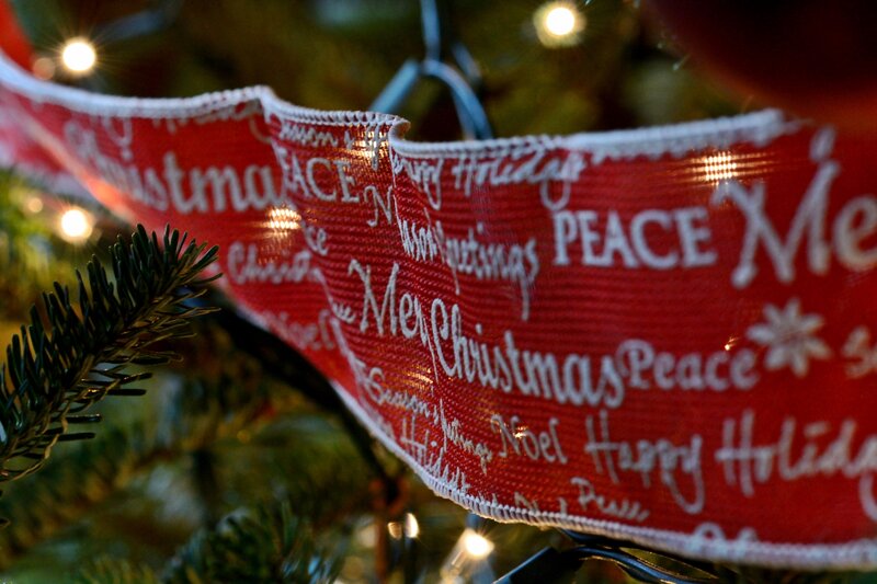 Red Ribbon on Tree