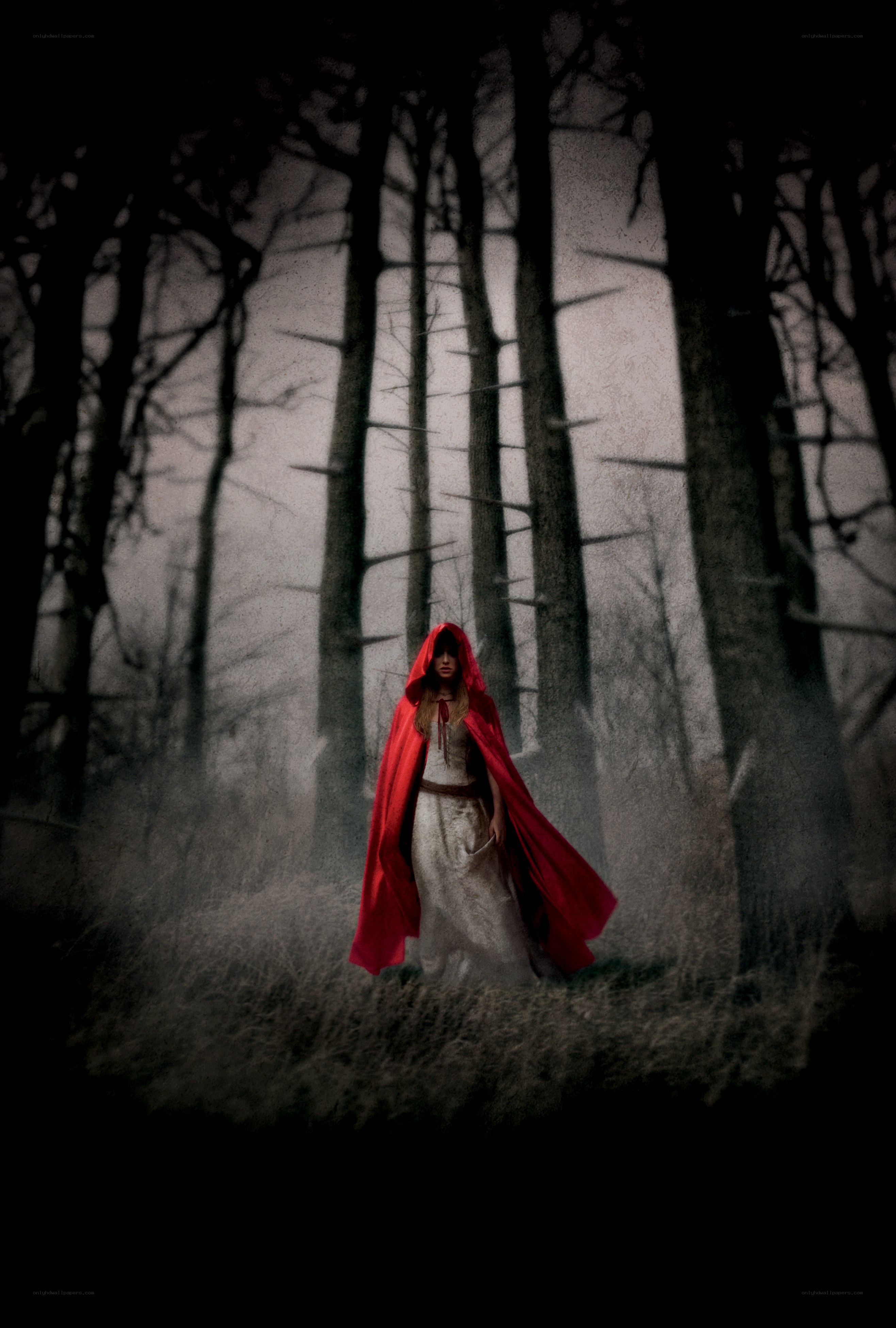Red Riding Hood in a dark forest