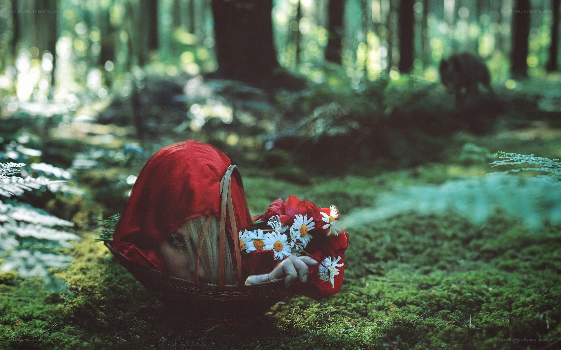 Red Riding Hood in the forest