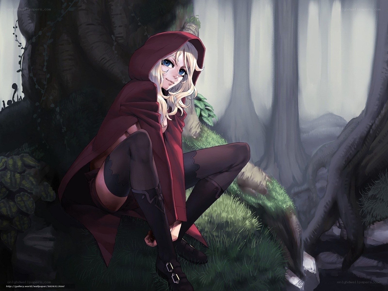 Red Riding Hood in the forest