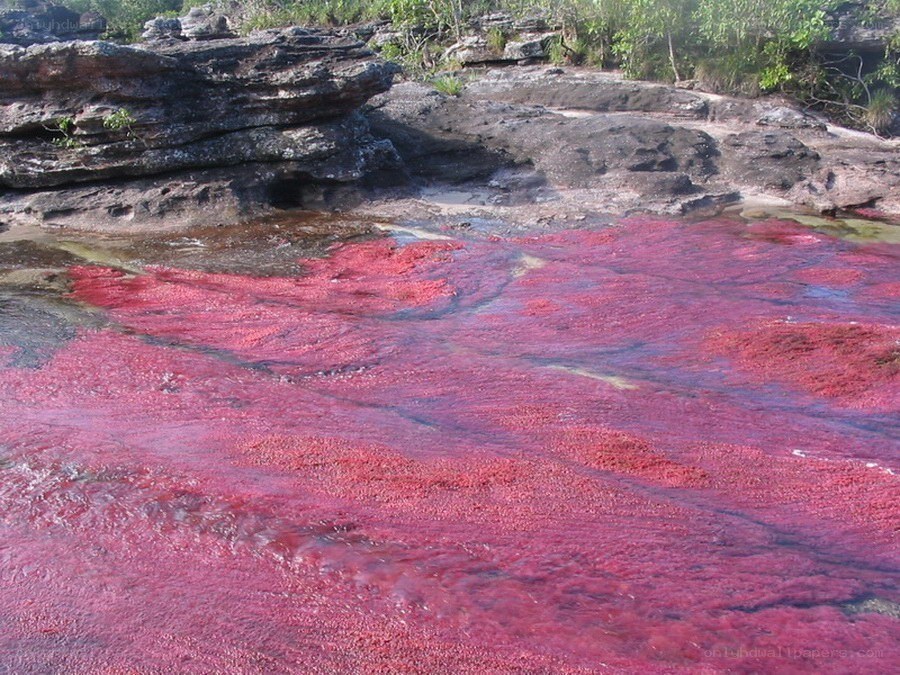 Red river in Brazil