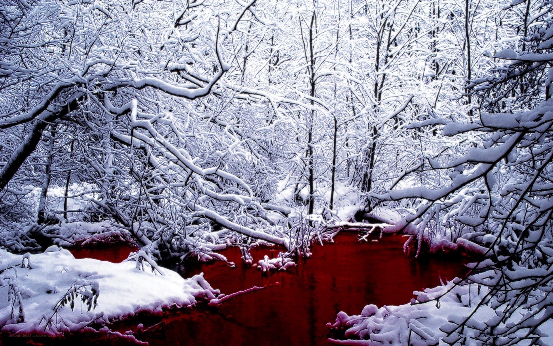 Red river in snowy forest