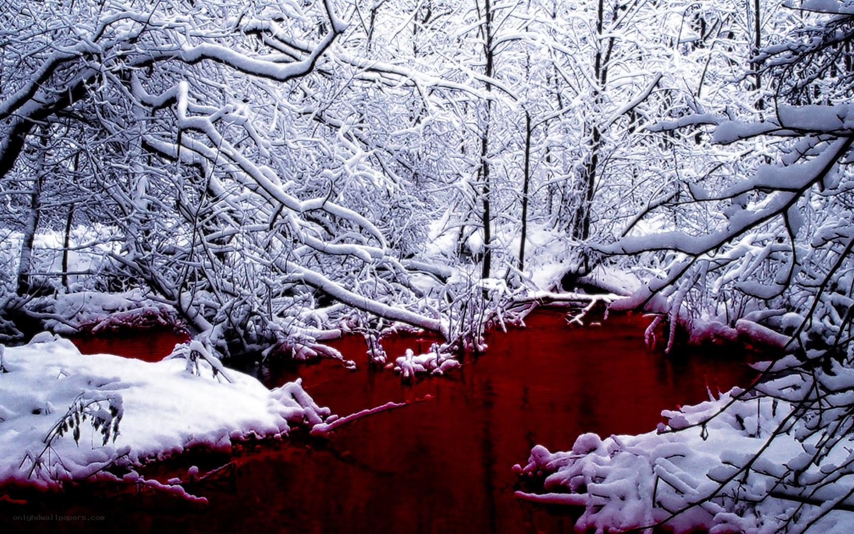 Red River in Snowy Forest