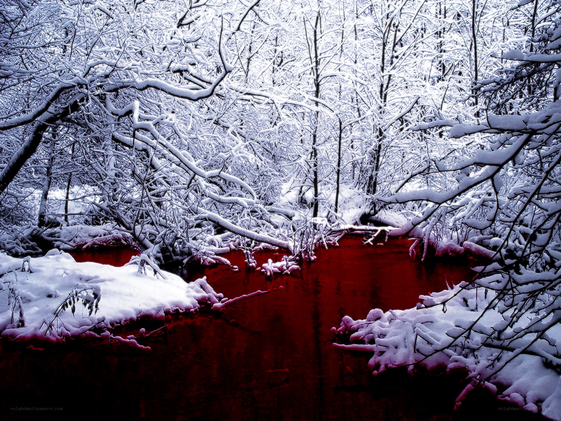 Red River in Snowy Forest