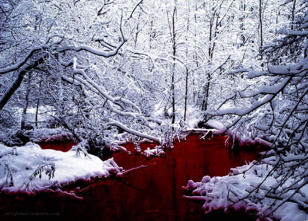 Red River in Snowy Forest