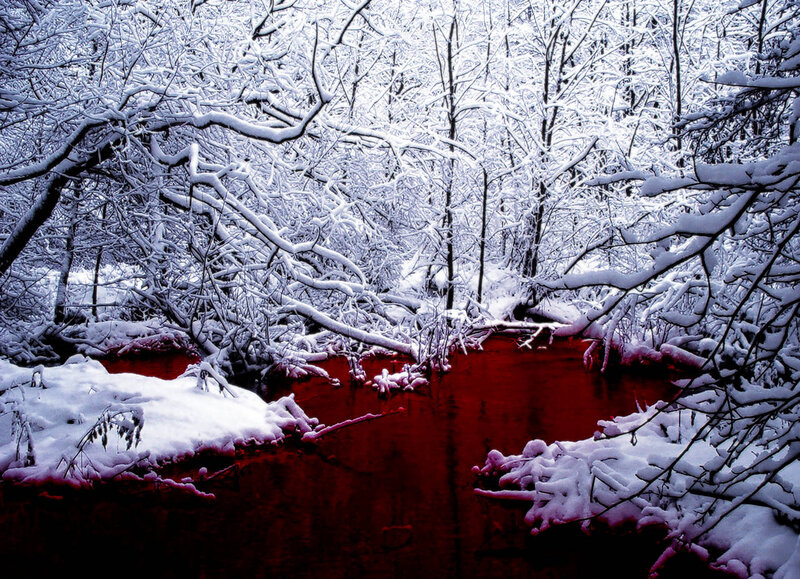 Red River in Snowy Forest