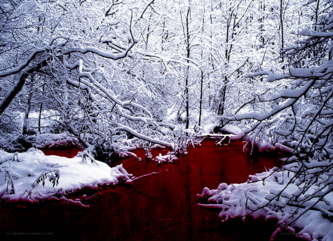 Red River in Snowy Forest