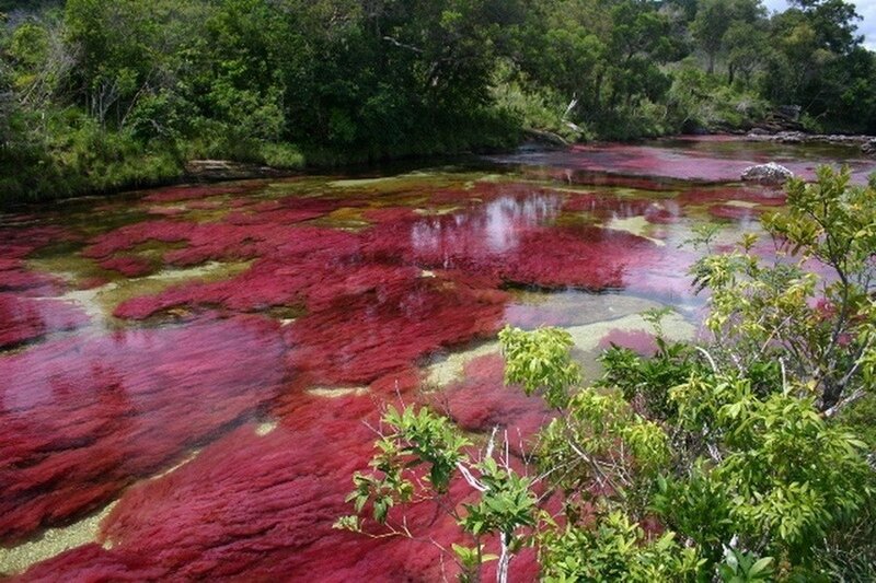 Red River of Brazil