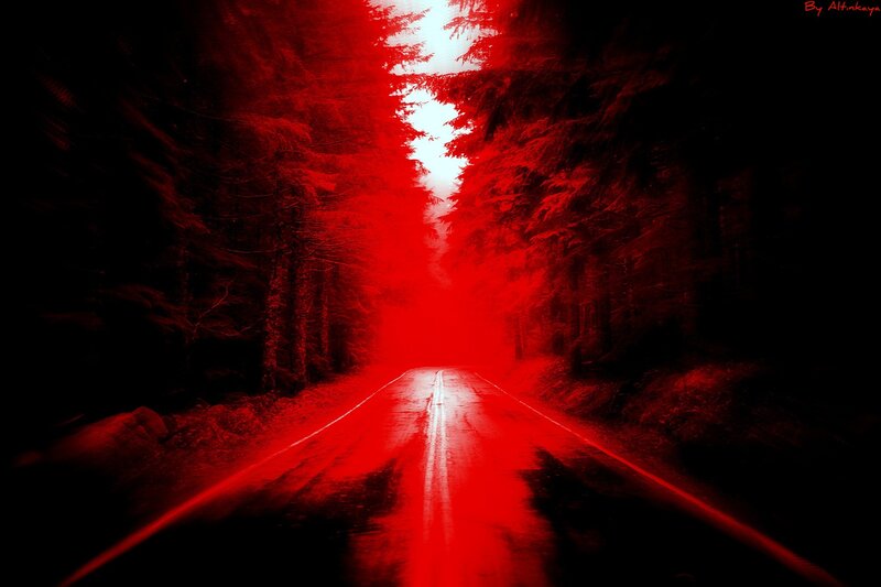 Red Road Through Forest