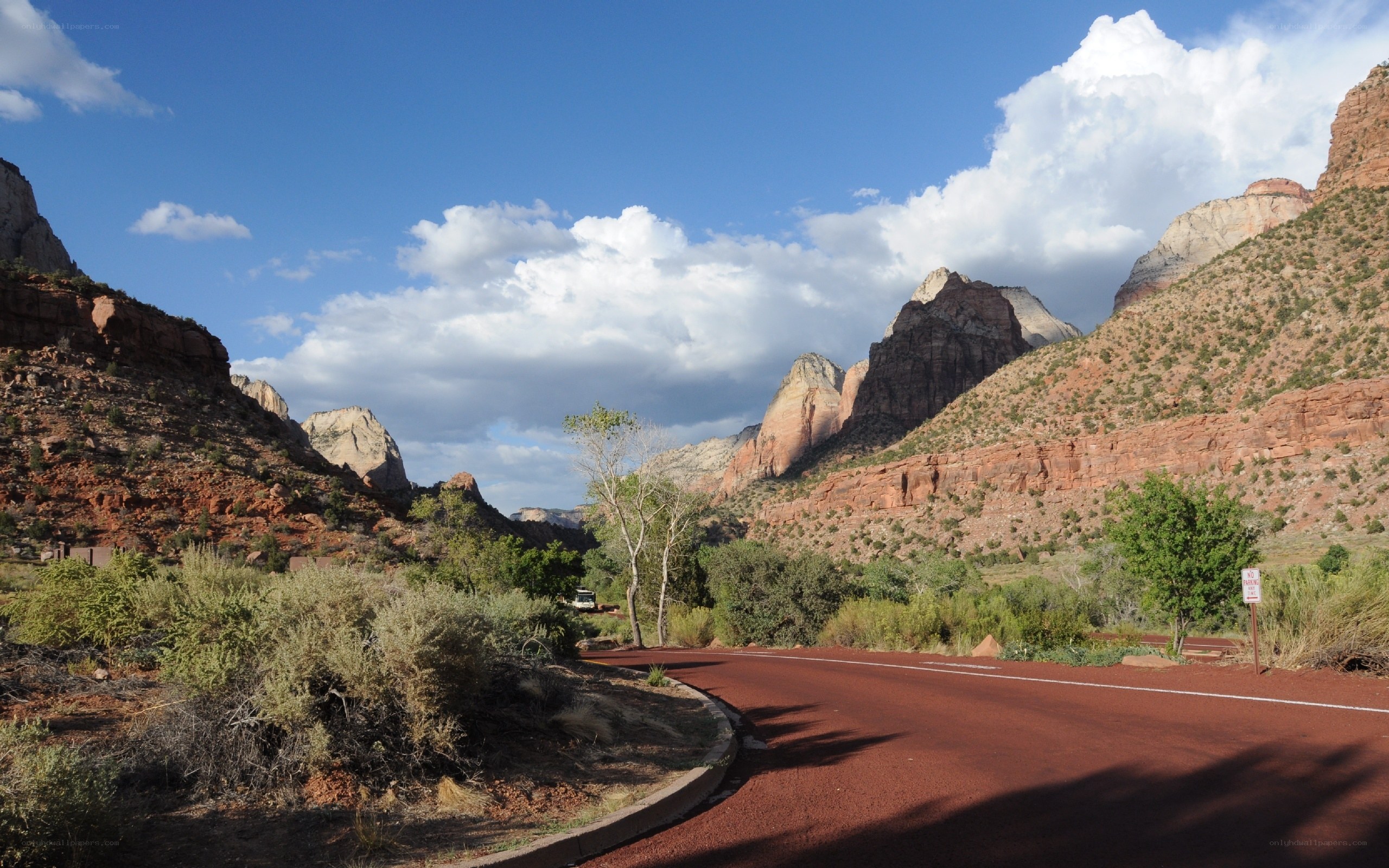 Red road through Zion canyon