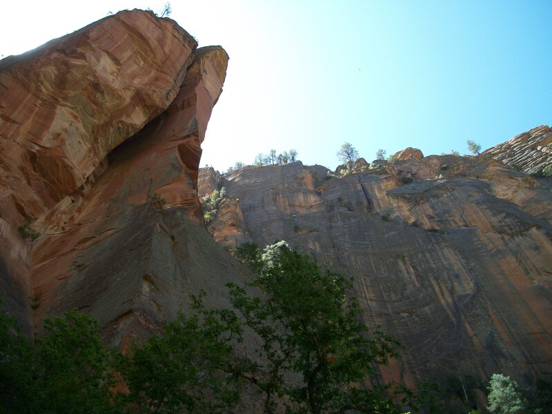Red Rock Canyon — Brown