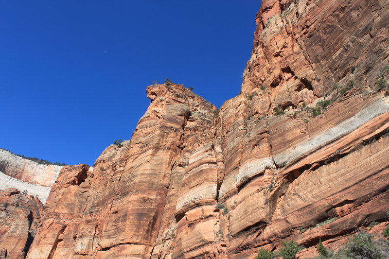Red Rock Canyon Cliffs
