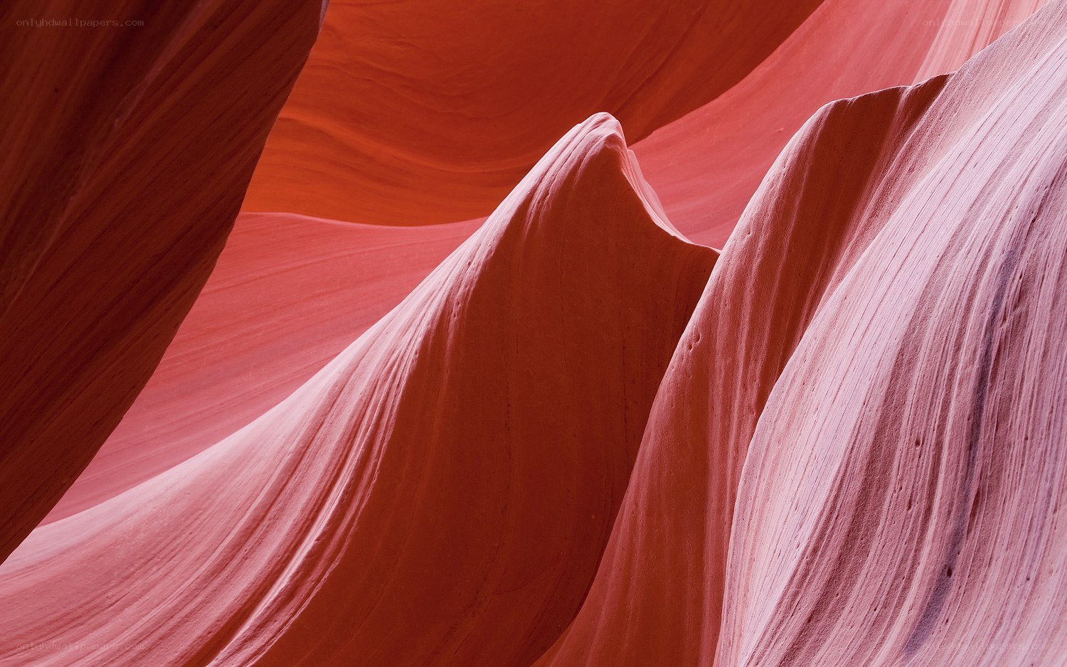 Red rock canyon formations