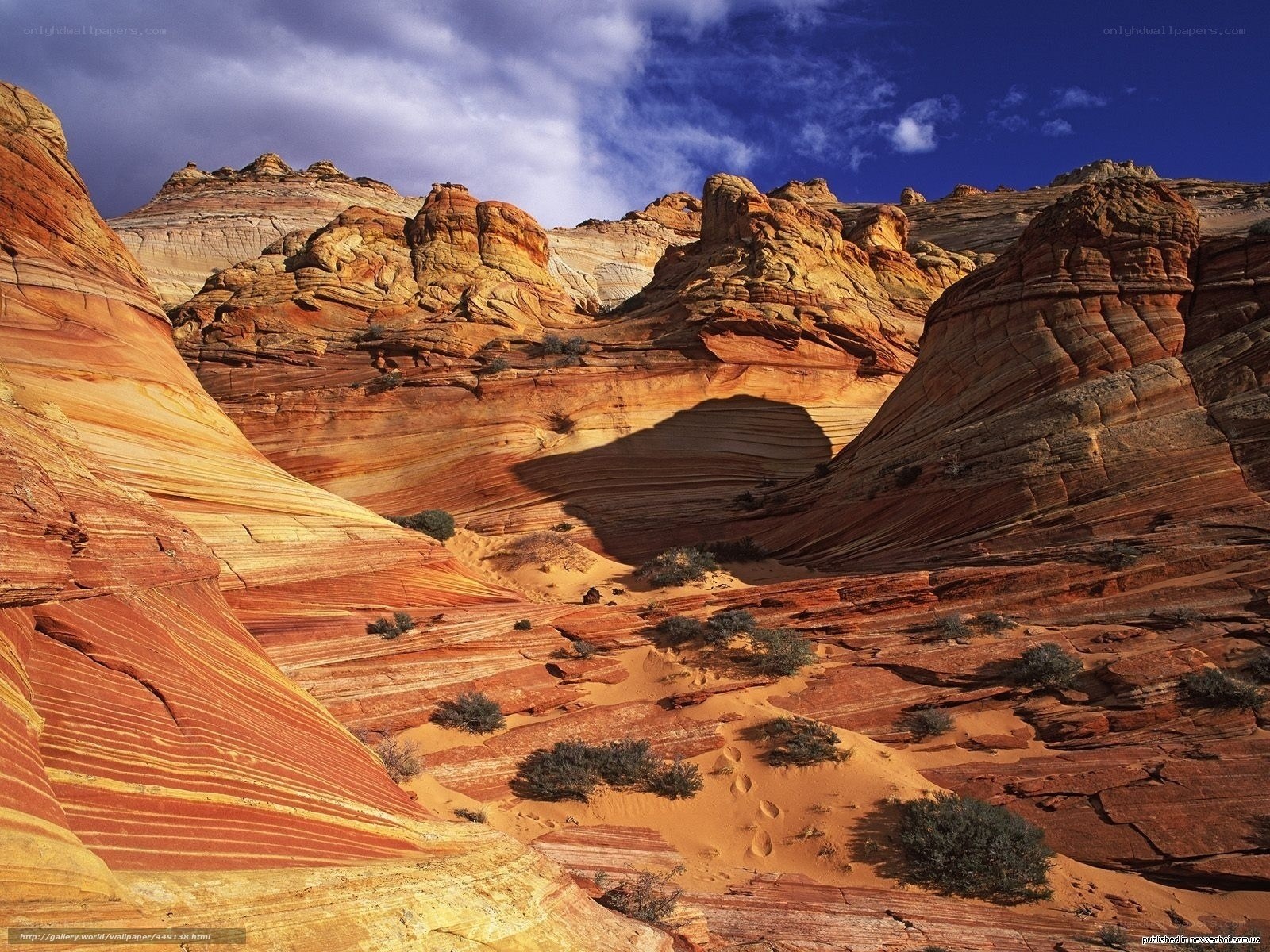 Red rock canyon landscape
