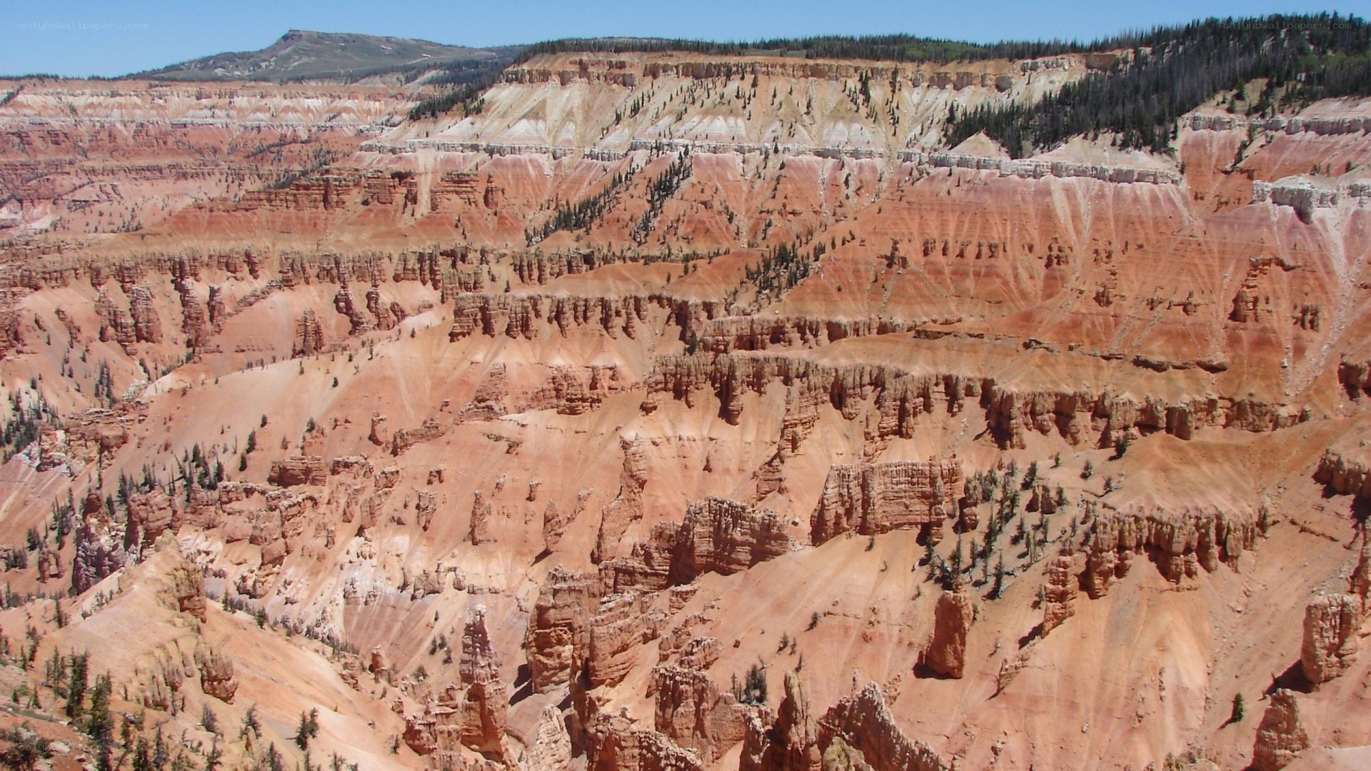 red rock canyon landscape