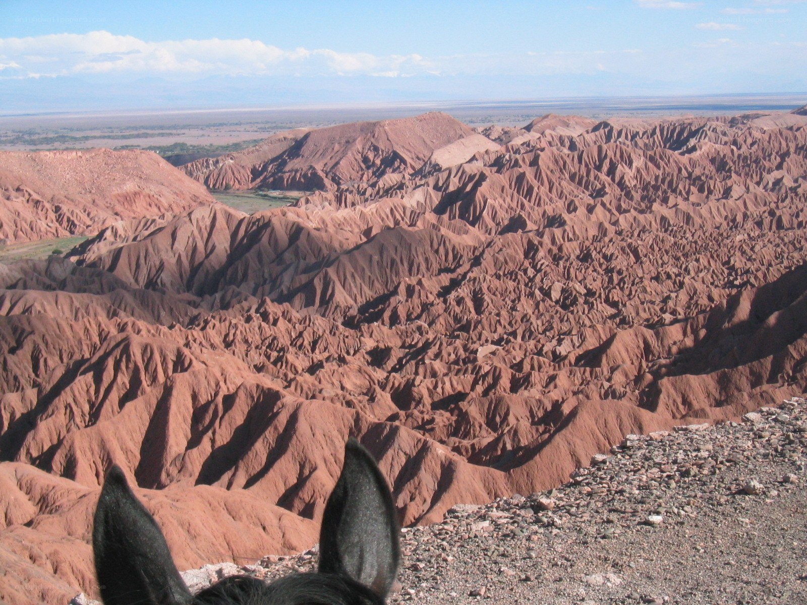 Red rock canyon landscape