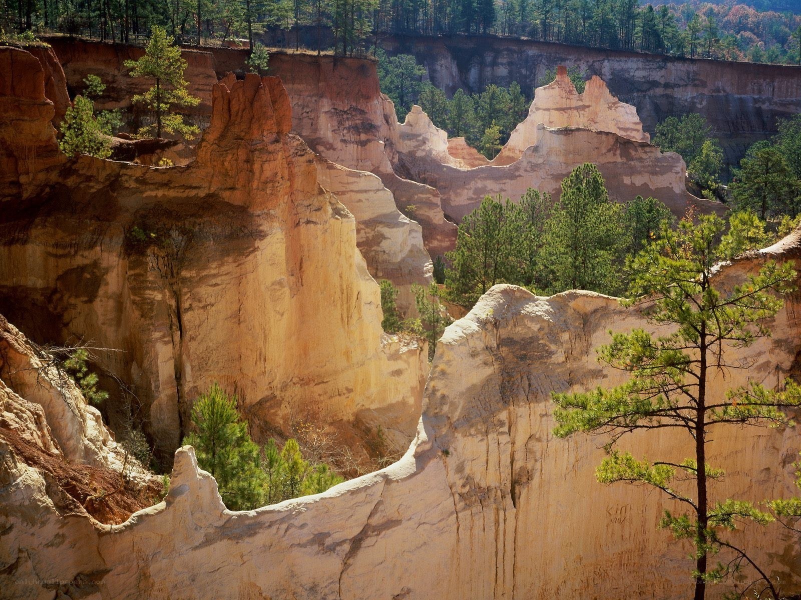 Red Rock Canyon Landscape