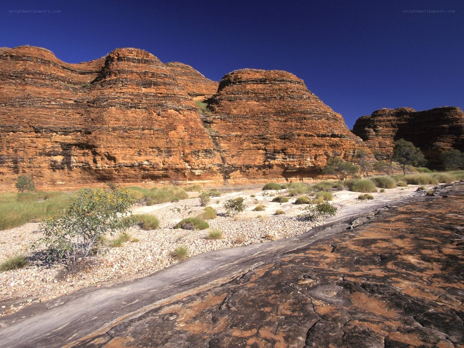 Red rock canyon landscape