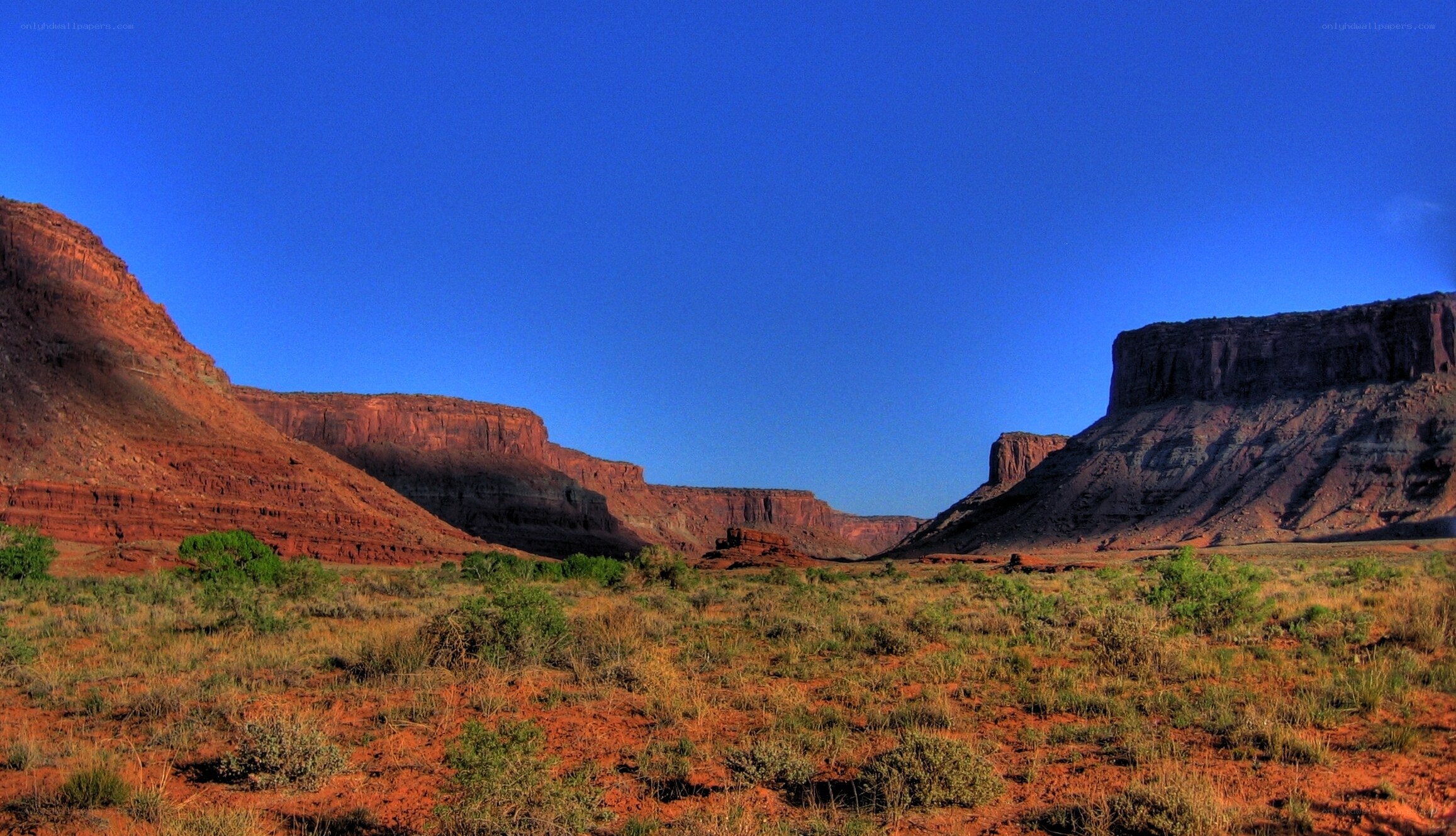 red rock canyon landscape