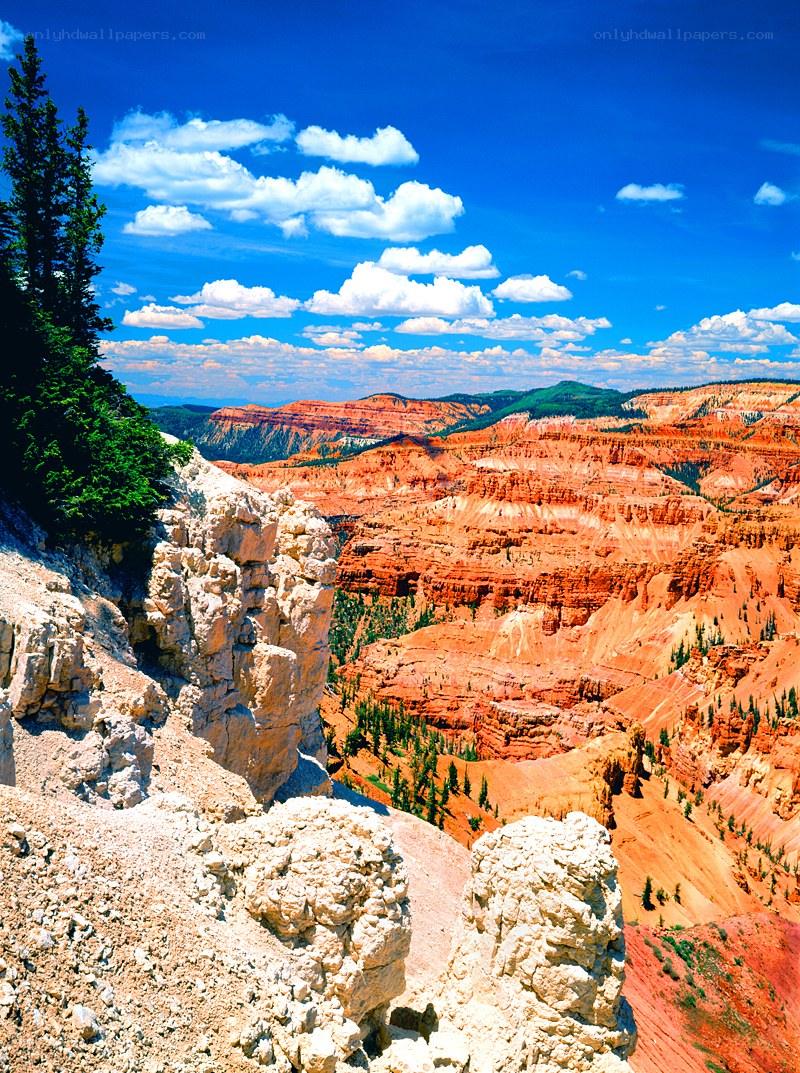 Red rock canyon landscape