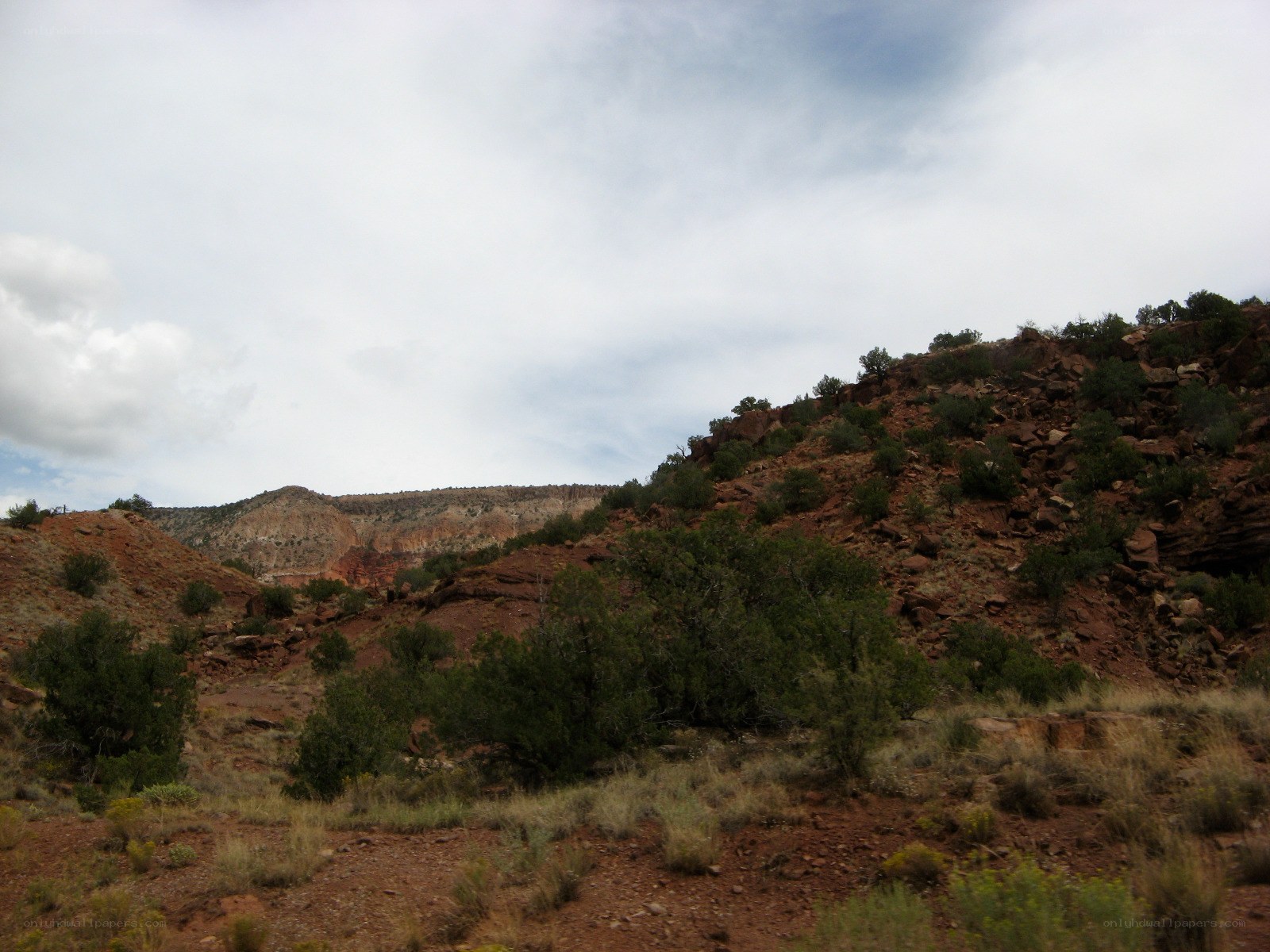 Red rock canyon landscape