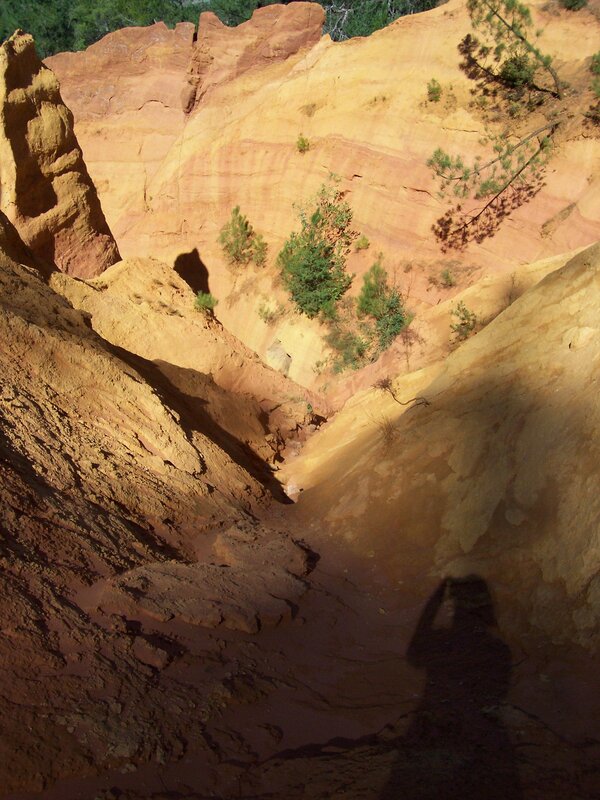 Red rock canyon landscape
