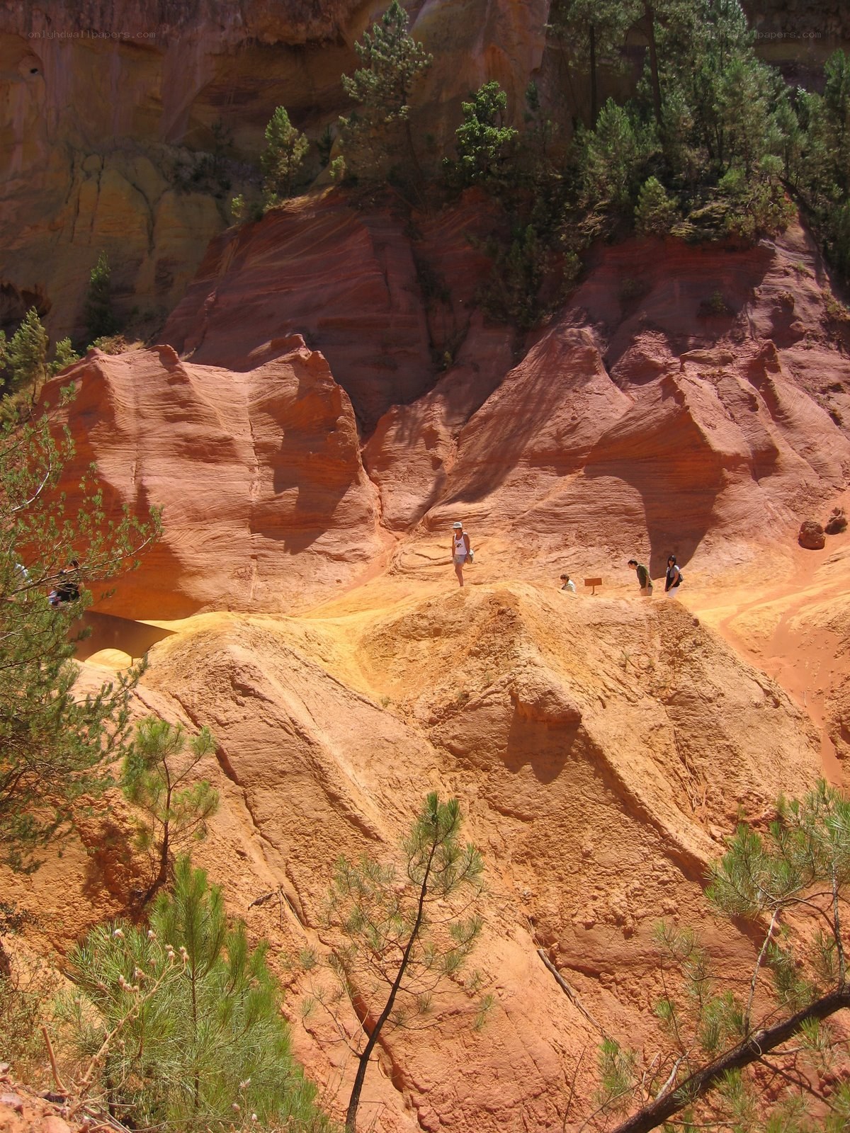 Red rock canyon landscape