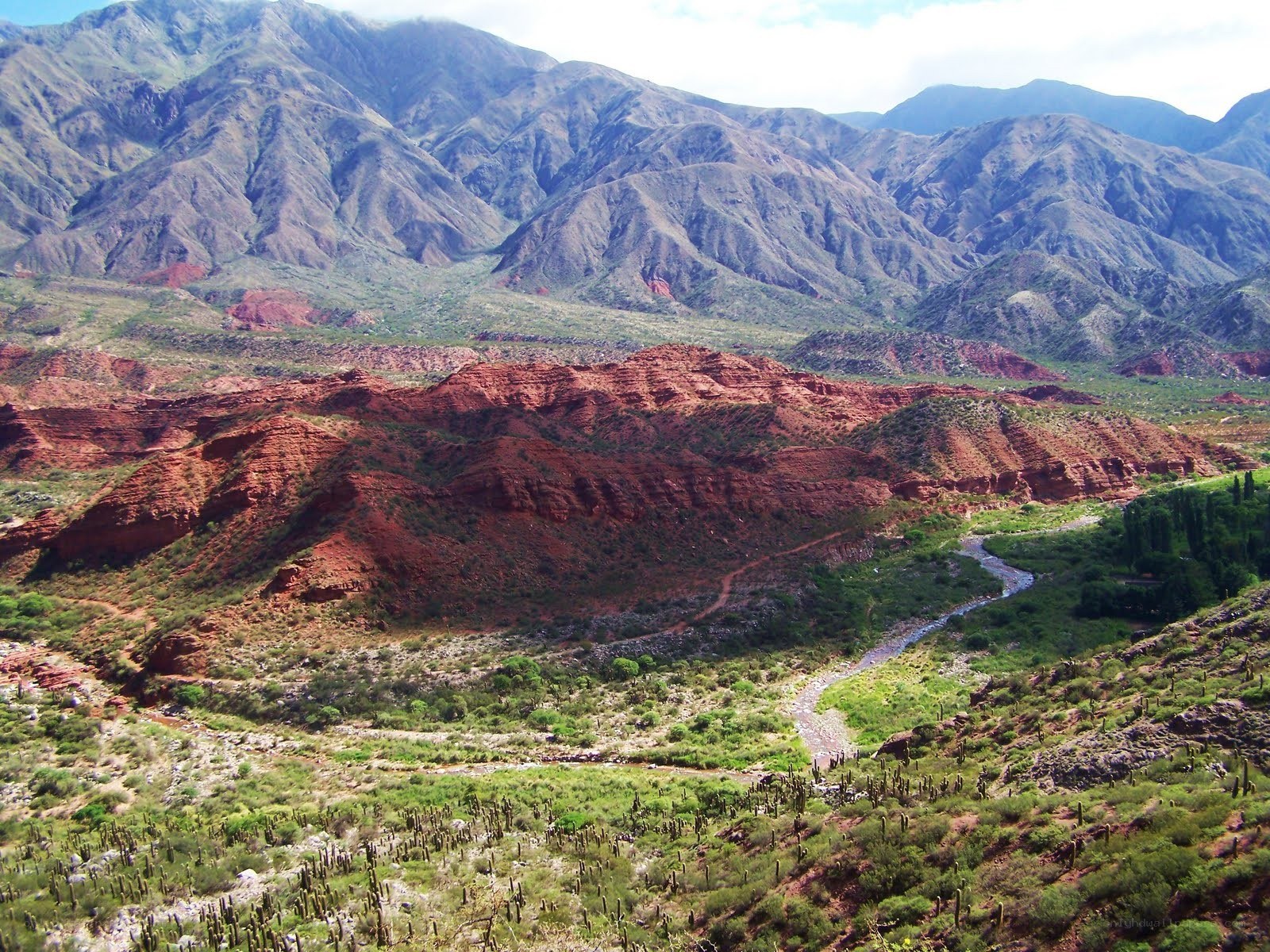 Red rock canyon landscape