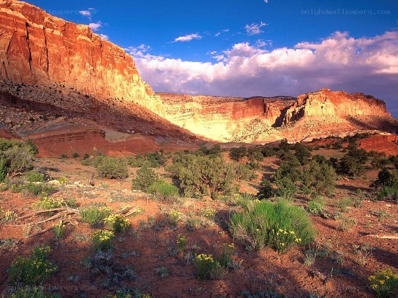 Red rock canyon landscape