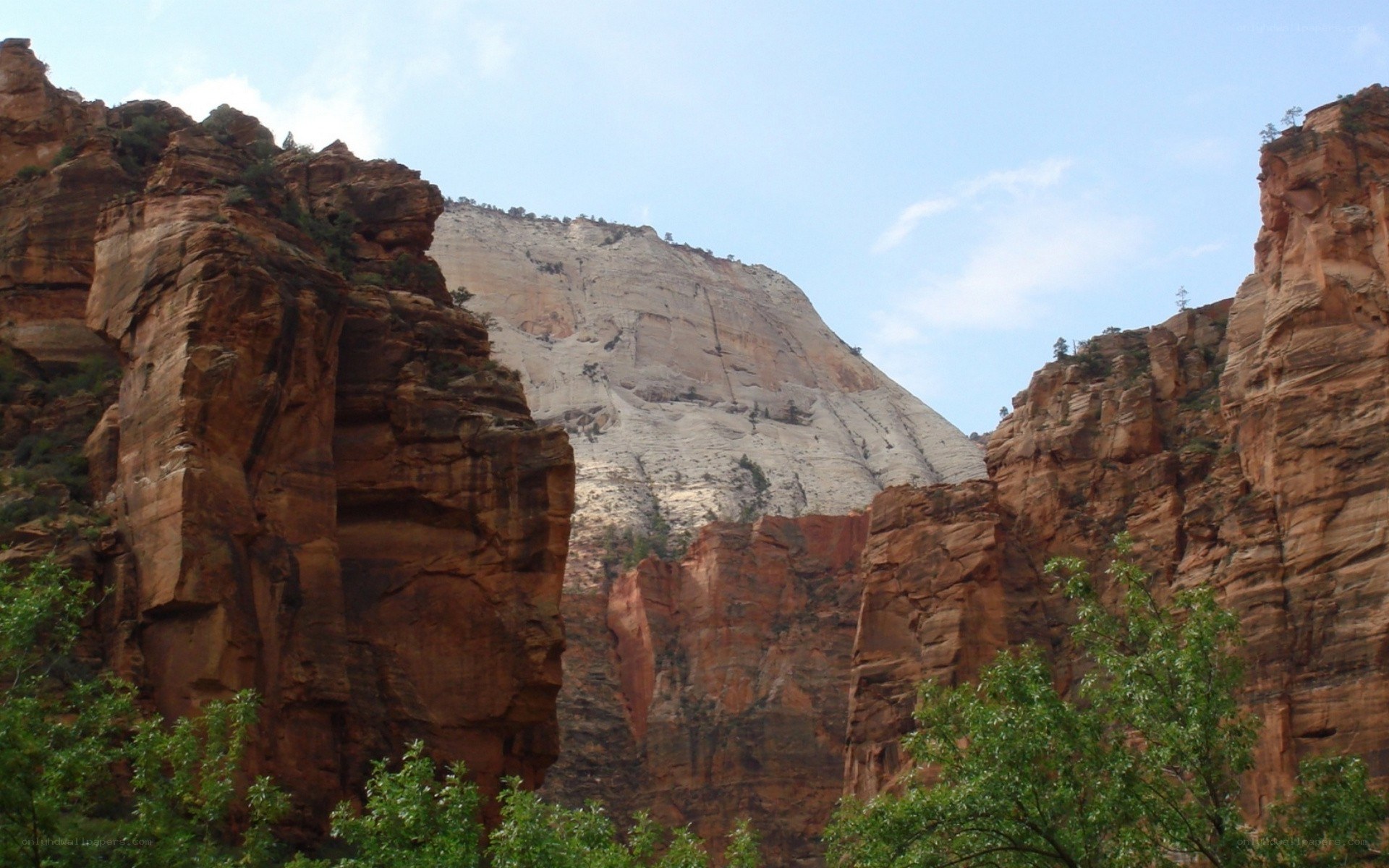 red rock canyon landscape