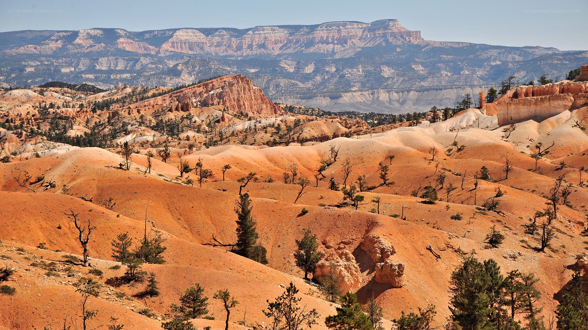 Red rock canyon landscape