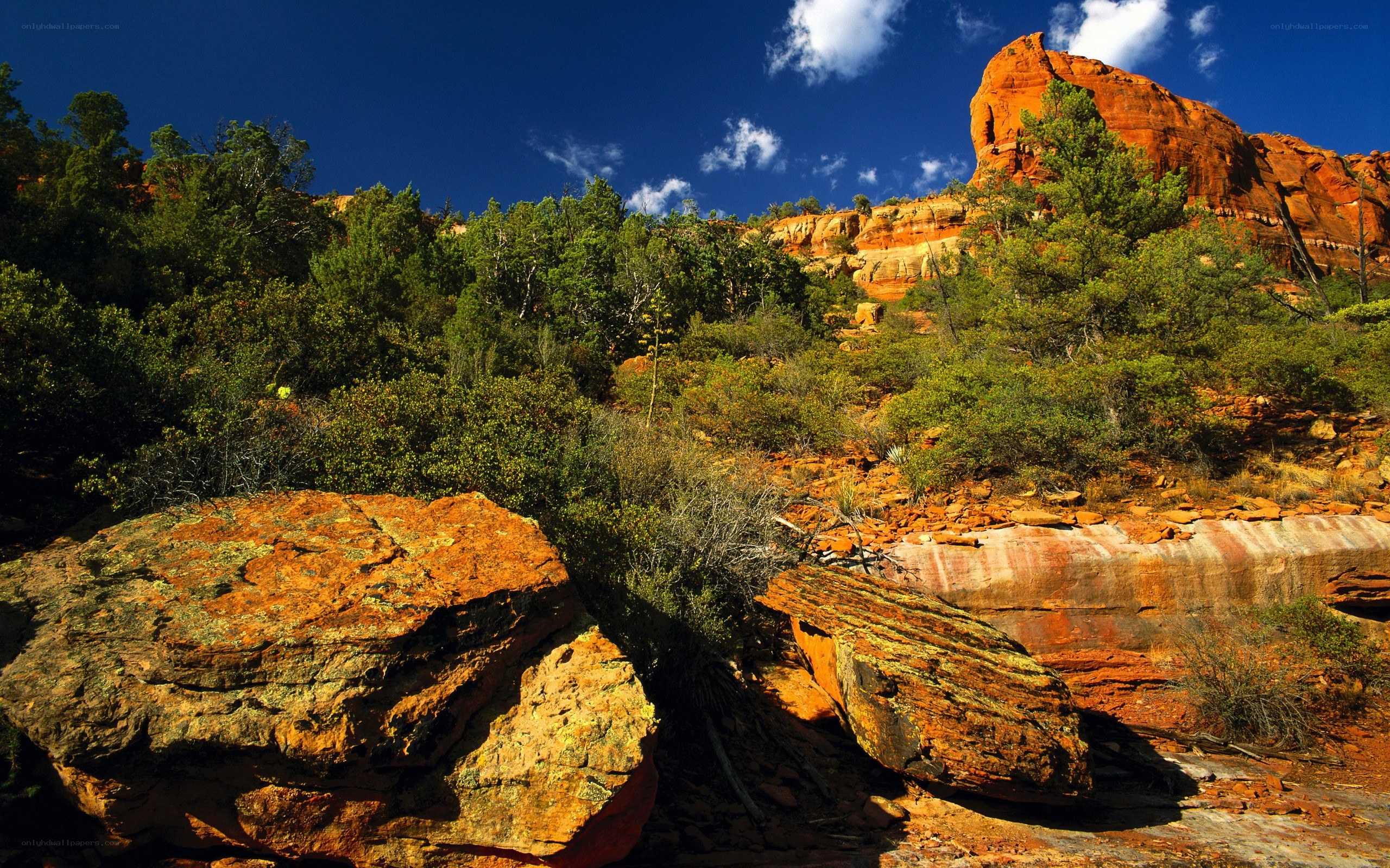 Red rock canyon landscape