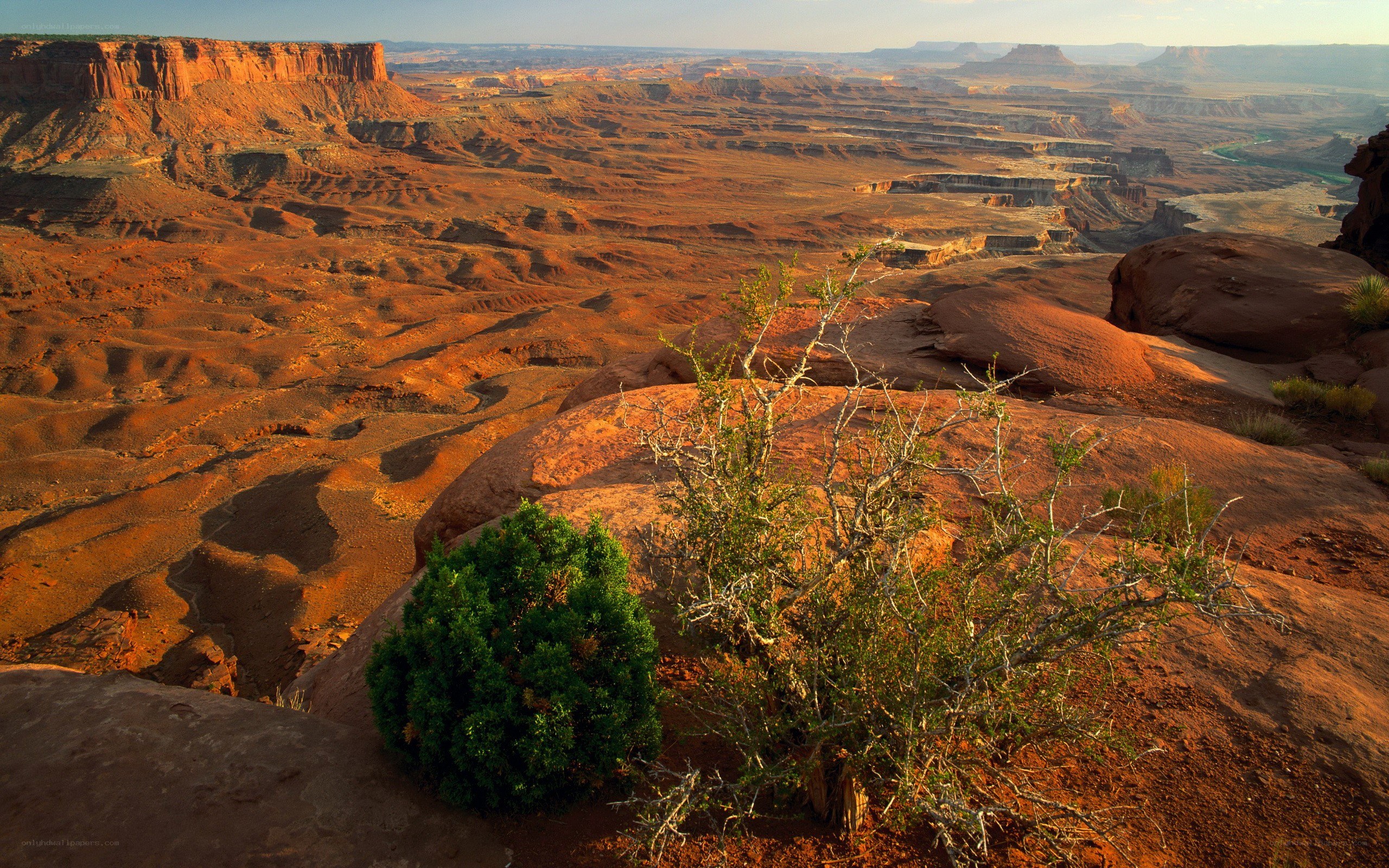 Red rock canyon landscape