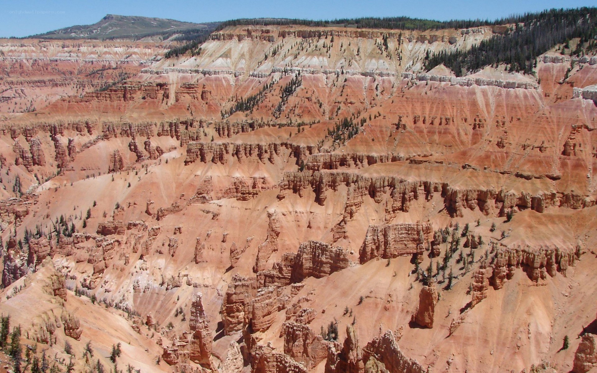 red rock canyon landscape