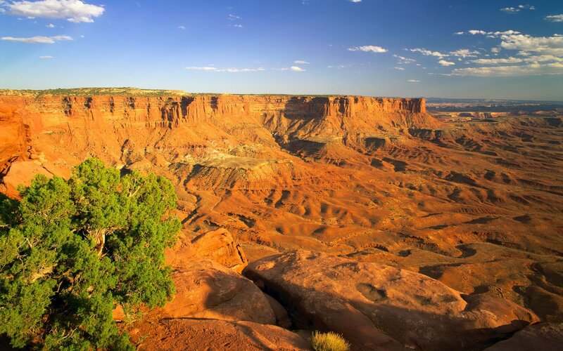 Red rock canyon landscape