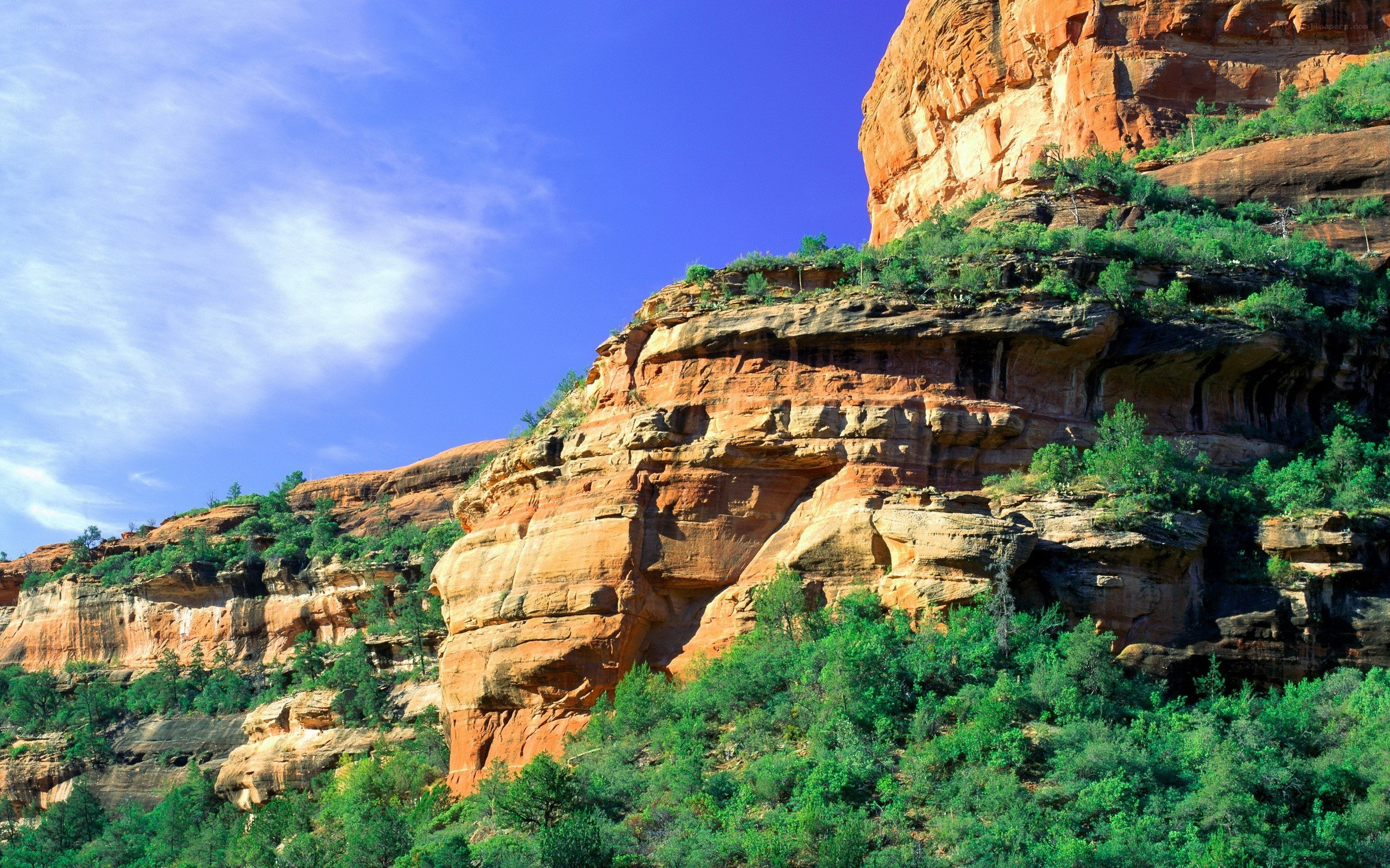 Red rock canyon landscape