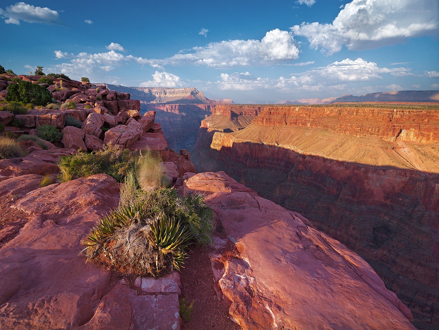 Red rock canyon landscape