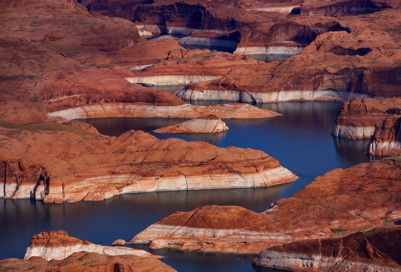 Red rock canyon landscape