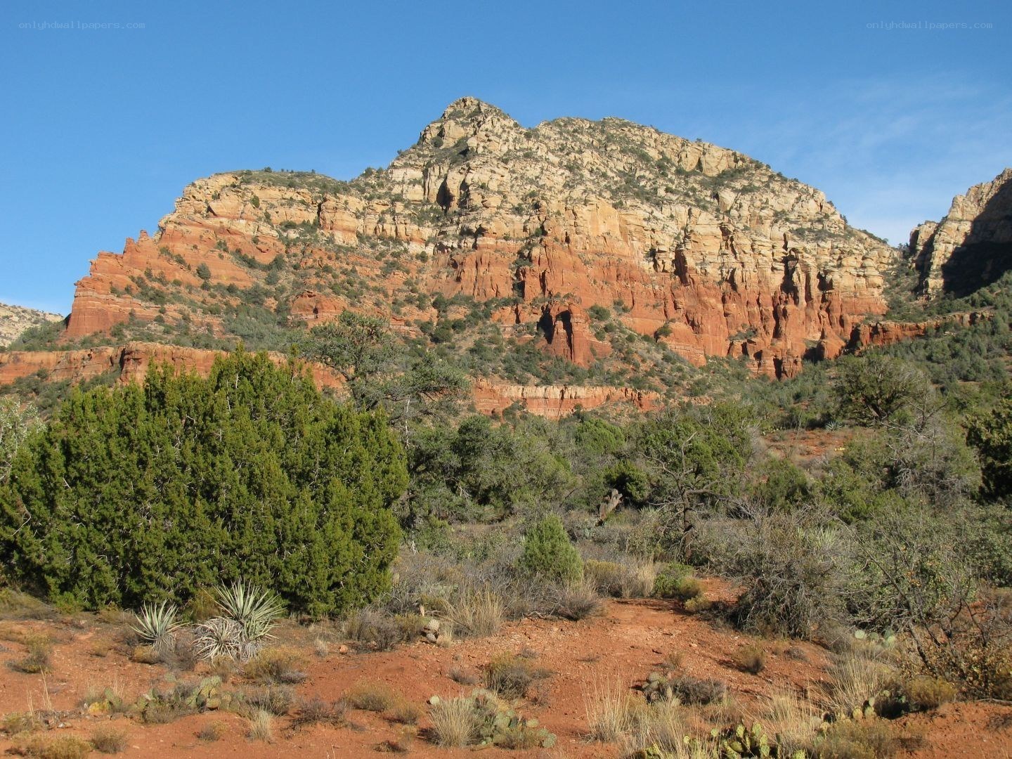 Red rock canyon landscape