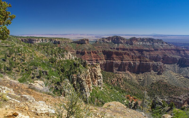Red Rock Canyon Landscape — Blue, Serene, Afternoon, Photograph, Trees, Rock Formations